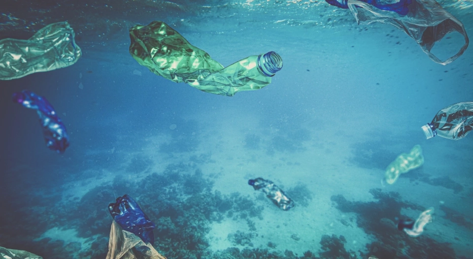 นักวิจัยชี้ ขยะพลาสติกท่วมท้องทะเล คาด มีมากกว่าที่ตาเห็นบนผิวน้ำ 100 เท่า