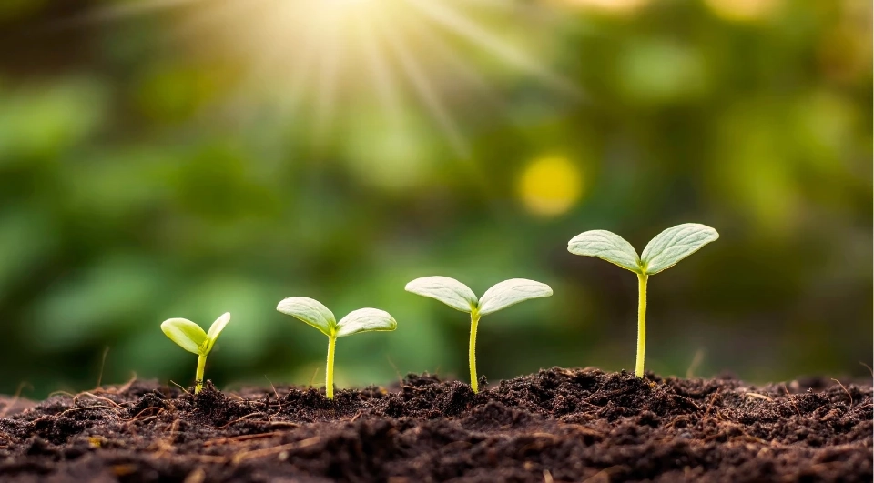 22 เมษายน 'วันคุ้มครองโลก' ฉลองความตระหนักรู้และลงมือเพื่อสิ่งแวดล้อม