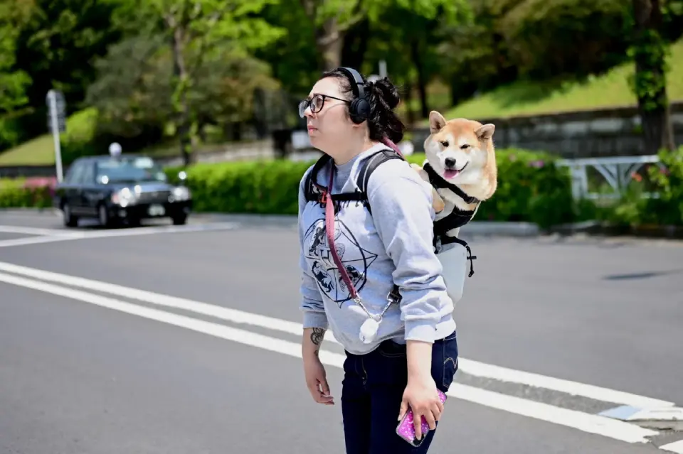 เทศกาลโกลเด้นวีคในญี่ปุ่นเริ่มขึ้นแล้ว และจะสิ้นสุดลงในวันที่ 6 พ.ค.นี้ (ภาพข่าว AFP)