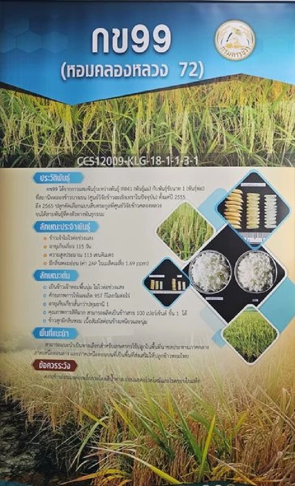 "ธรรมนัส" เตรียมบิ๊กเซอร์ไพรส์ ชงครม.เงินบำนาญชาวนาเดือนละ 3 พันหลังเกษียณ