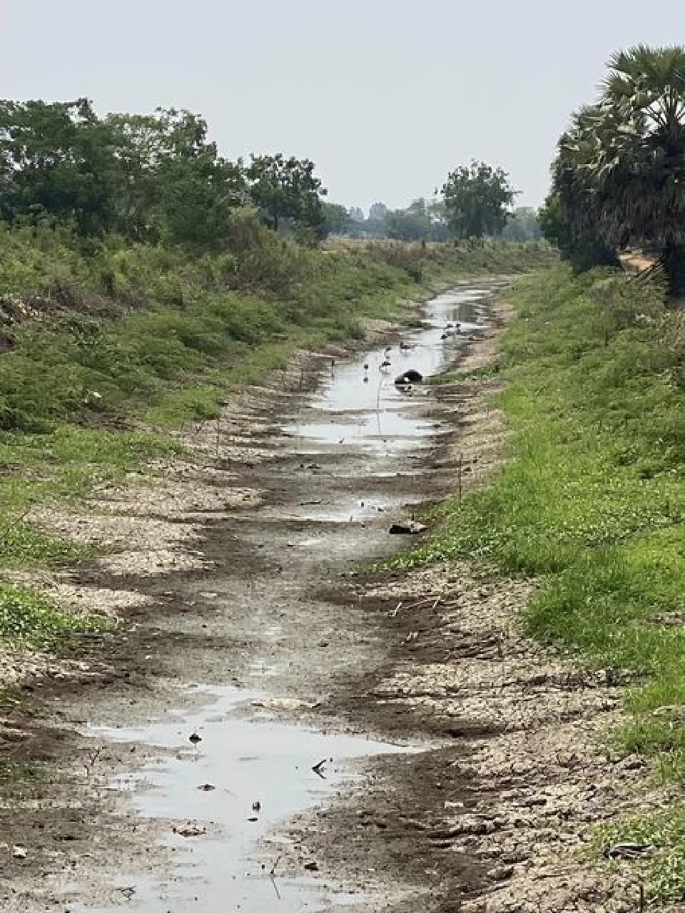 "ธรรมนัส" เตรียมบิ๊กเซอร์ไพรส์ ชงครม.เงินบำนาญชาวนาเดือนละ 3 พันหลังเกษียณ