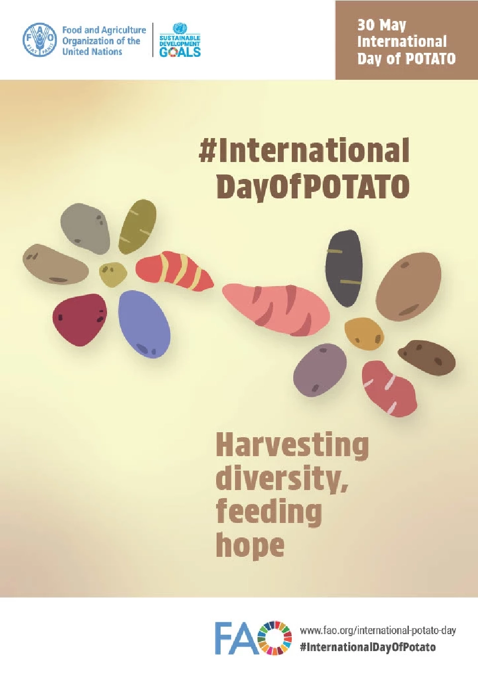 ธีมงานวันมันฝรั่งสากลครั้งแรกซึ่งเกิดขึ้นในปีนี้ (2567) คือ Harvesting diversity, feeding hope.