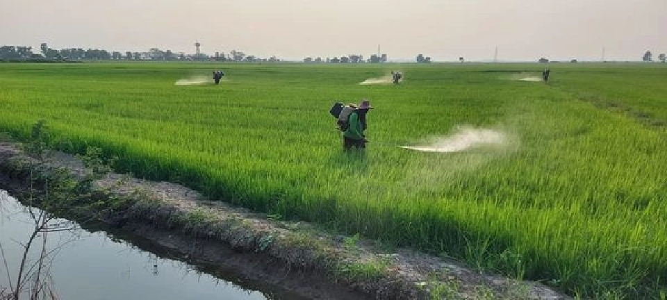 "ธรรมนัส" เตรียมบิ๊กเซอร์ไพรส์ ชงครม.เงินบำนาญชาวนาเดือนละ 3 พันหลังเกษียณ
