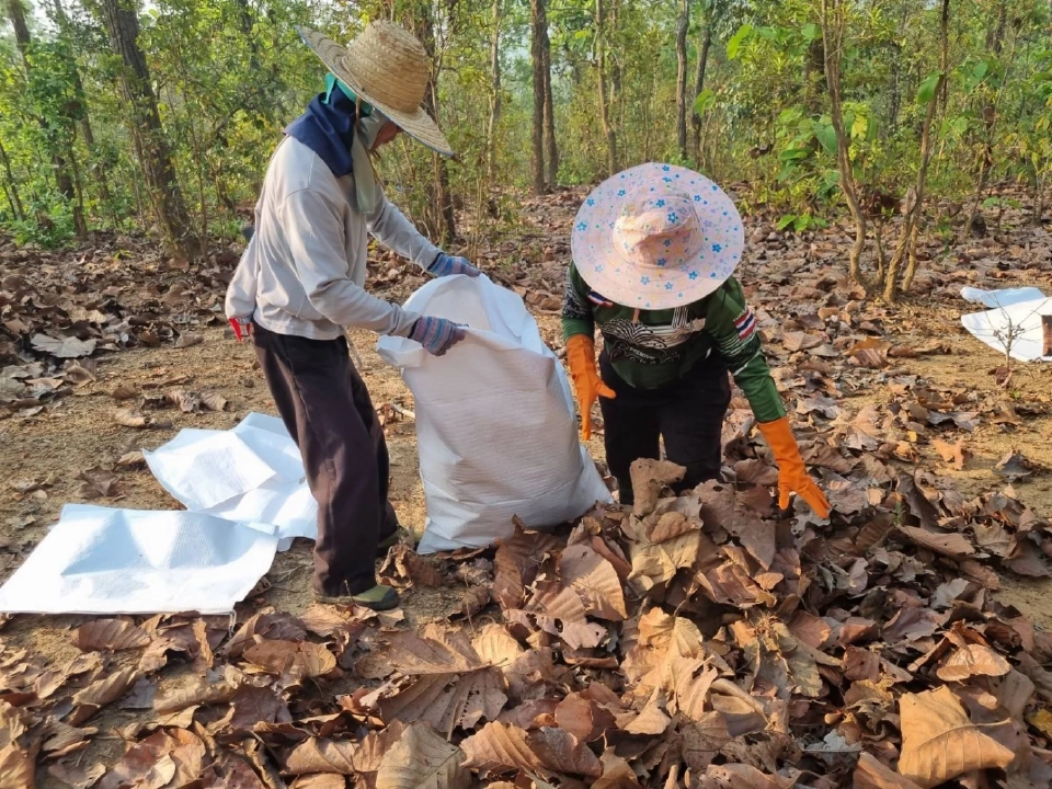 'เครือซีพี' ร่วม ชุมชน จ.เชียงใหม่ ชูโมเดล 'ป่าปลอดเผา' ลดปัญหาฝุ่นควัน ไฟป่า