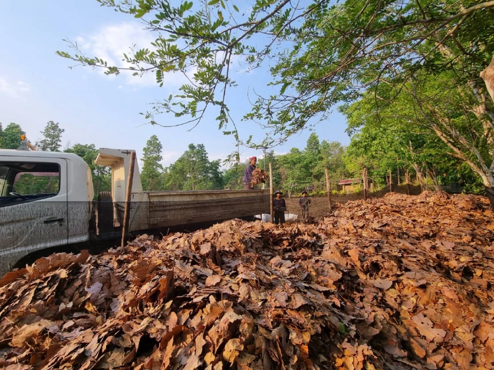 'เครือซีพี' ร่วม ชุมชน จ.เชียงใหม่ ชูโมเดล 'ป่าปลอดเผา' ลดปัญหาฝุ่นควัน ไฟป่า