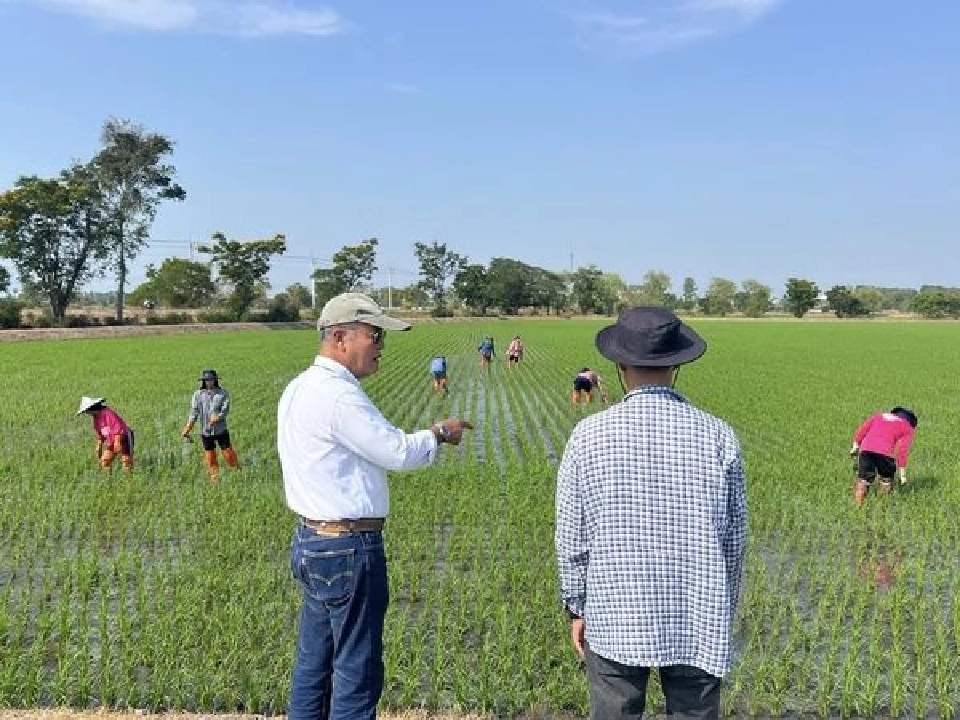 "ธรรมนัส" เตรียมบิ๊กเซอร์ไพรส์ ชงครม.เงินบำนาญชาวนาเดือนละ 3 พันหลังเกษียณ