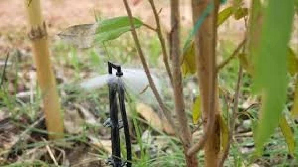 “ธรรมนัส” เร่งกู้วิกฤตแล้ง สั่งลงพื้นที่สำรวจช่วยเหลือชาวสวนผลไม้ทันที