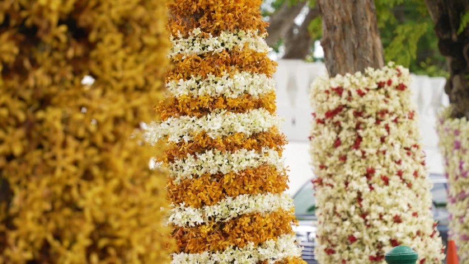 “รัฐบาล” เผย อินฟลูเอนเซอร์ชาวจีน ชมความสวยงามถนนราชดำเนิน