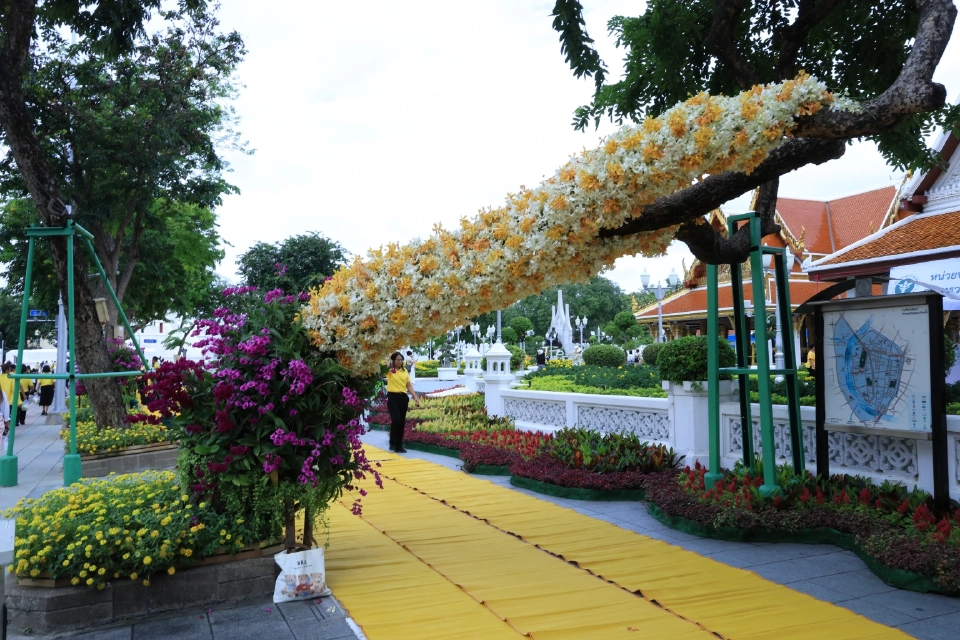 “รัฐบาล” เผย อินฟลูเอนเซอร์ชาวจีน ชมความสวยงามถนนราชดำเนิน