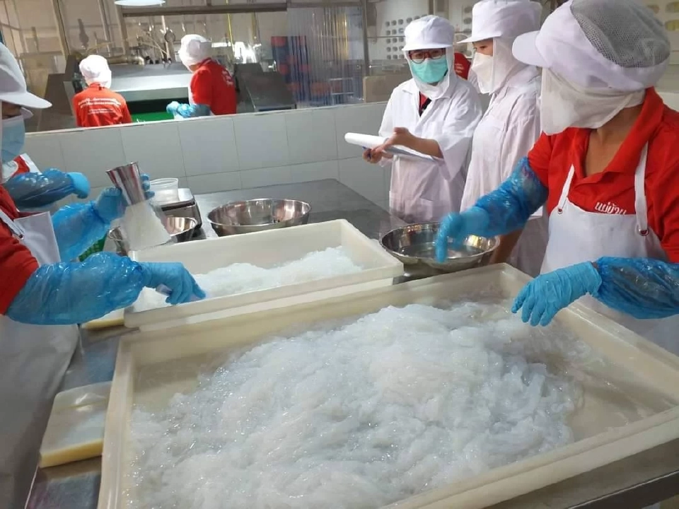 "แสงทับทิม" ยกระดับ “น้ำมะพร้าว” สู่หมูสับเทียมเจาะตลาดนอาหารอนาคต