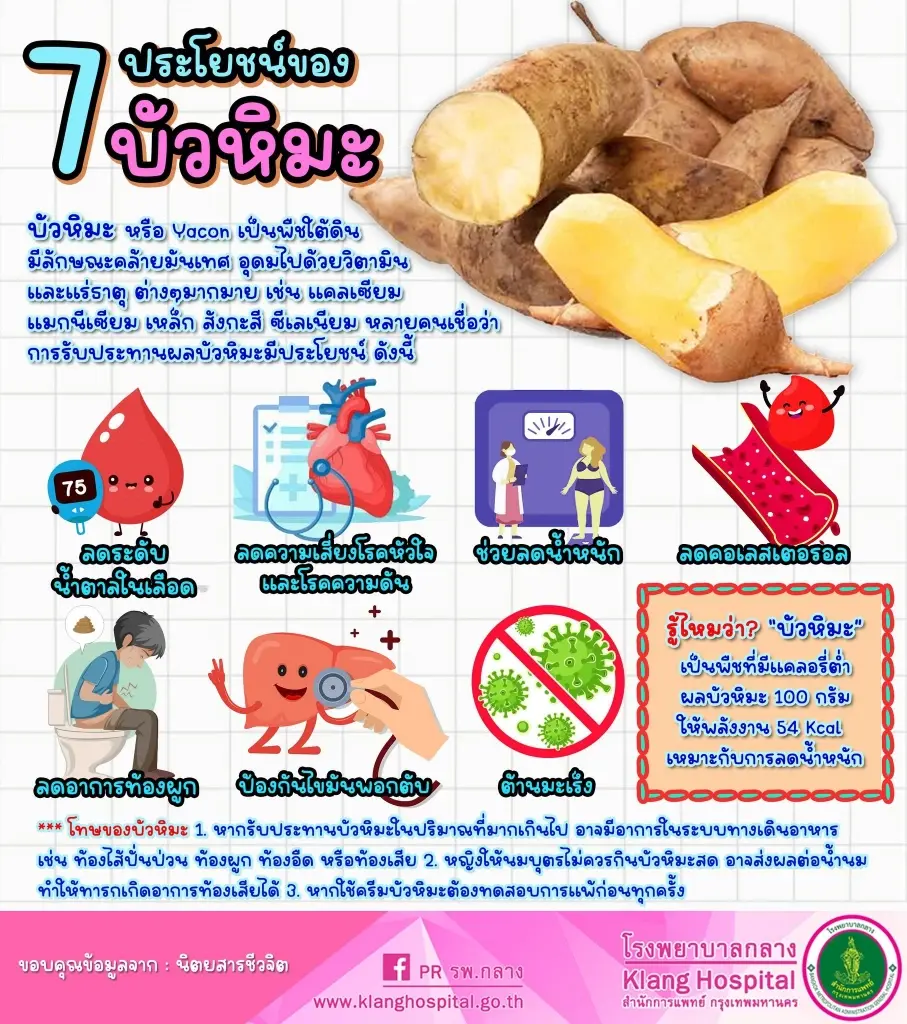 บัวหิมะ สรรพคุณ และ ประโยชน์