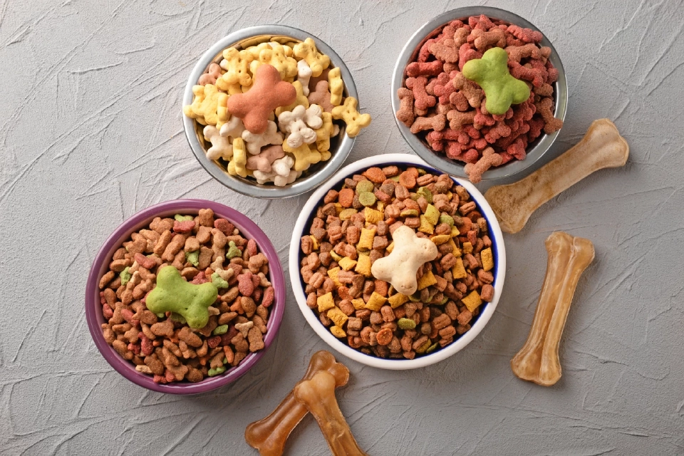 โอกาสทองส่งออก "อาหารสัตว์เลี้ยง" เจาะตลาดจีน ยอด 8 เดือน โกยเฉียดพันล้าน