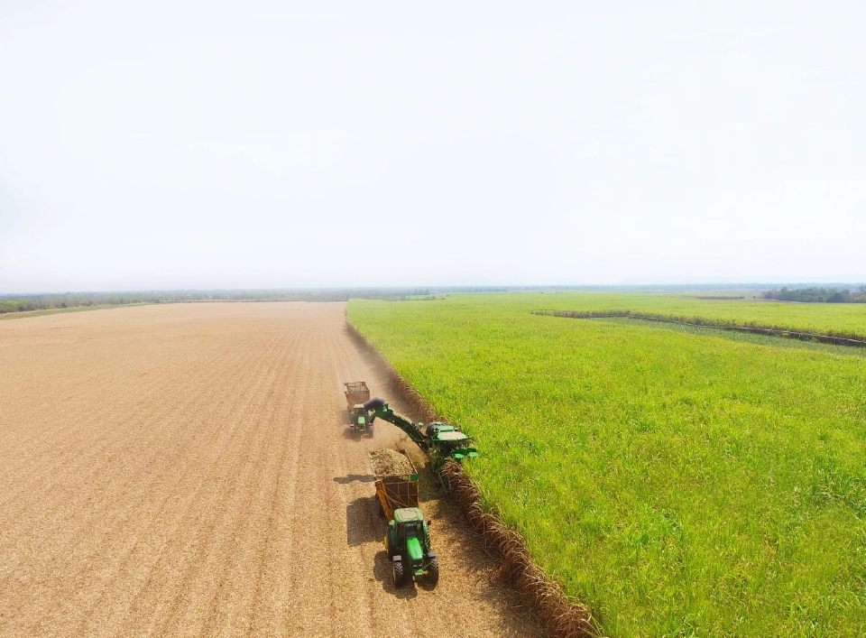 มิตรผลจับมือเกษตรกรตัดอ้อยสด เพิ่มรายได้ ตั้งเป้าฤดูหีบ 2567/2568 รับซื้อใบอ้อย 700,000 ตัน