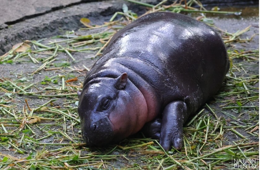 10 ปรากฎการณ์ฮอตฮิต โลกโซเชียลให้ความสนใจ ปี 67