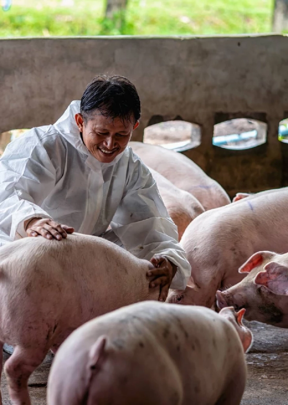 นายกฯหมูอ้อนรายใหญ่ ร่วมสร้างสมดุลตลาด ป้องราคาตกต่ำ-พยุงรายย่อยอยู่รอด