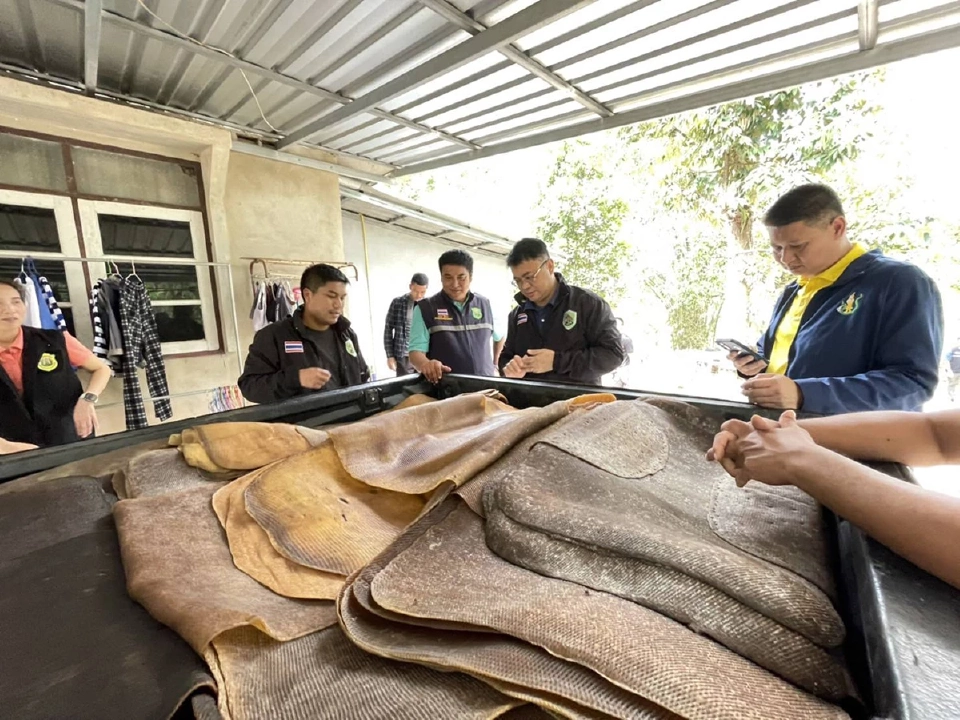 สกัดจับ “ยางเถื่อน” ทะลักจากเพื่อนบ้าน ยึดของกลางกว่า 900 กิโลฯ