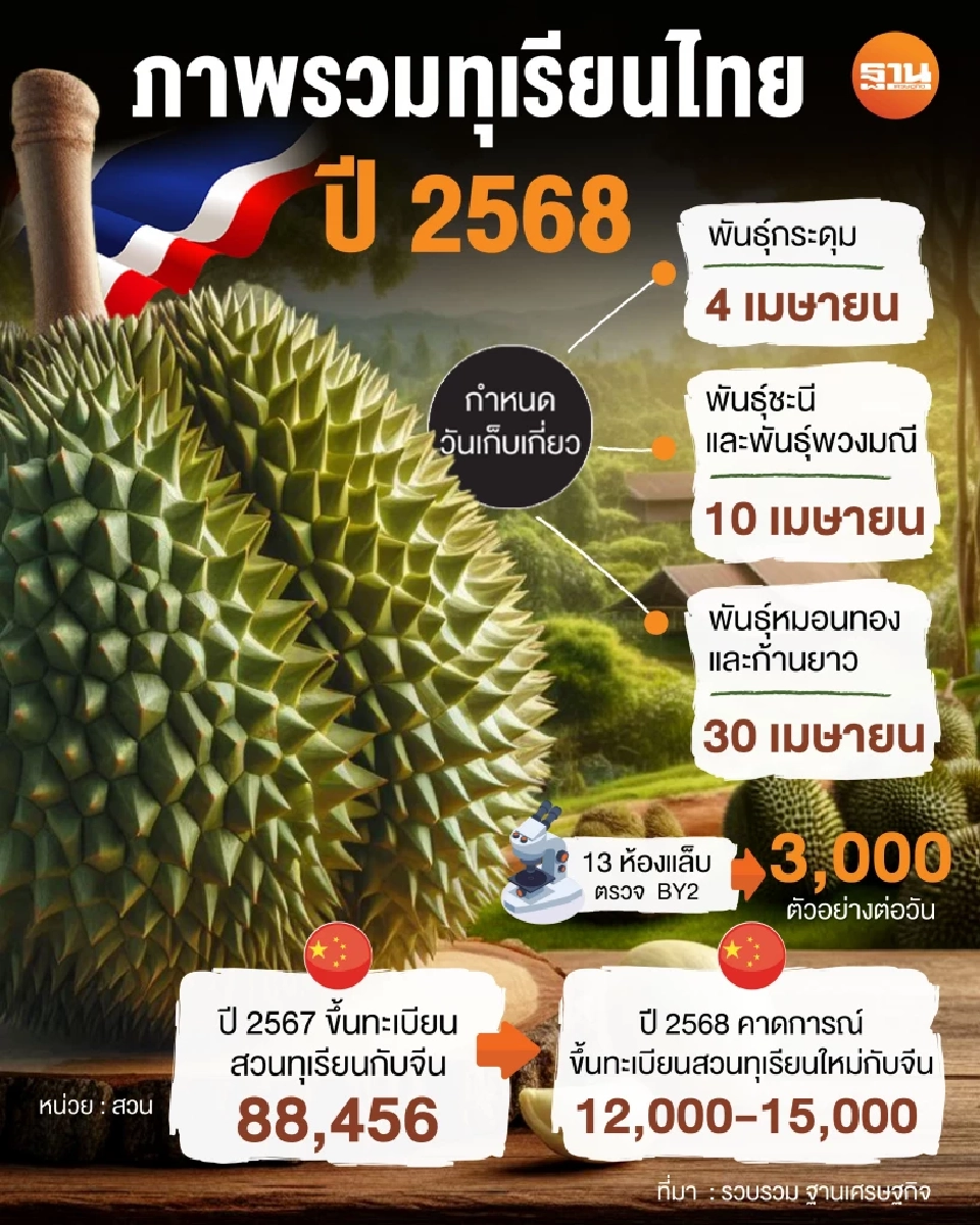 กูรูรัฐ-เอกชน ผนึกกำลัง ทะลวงทางออกไทยต้องไม่มี BY2 ในทุเรียน