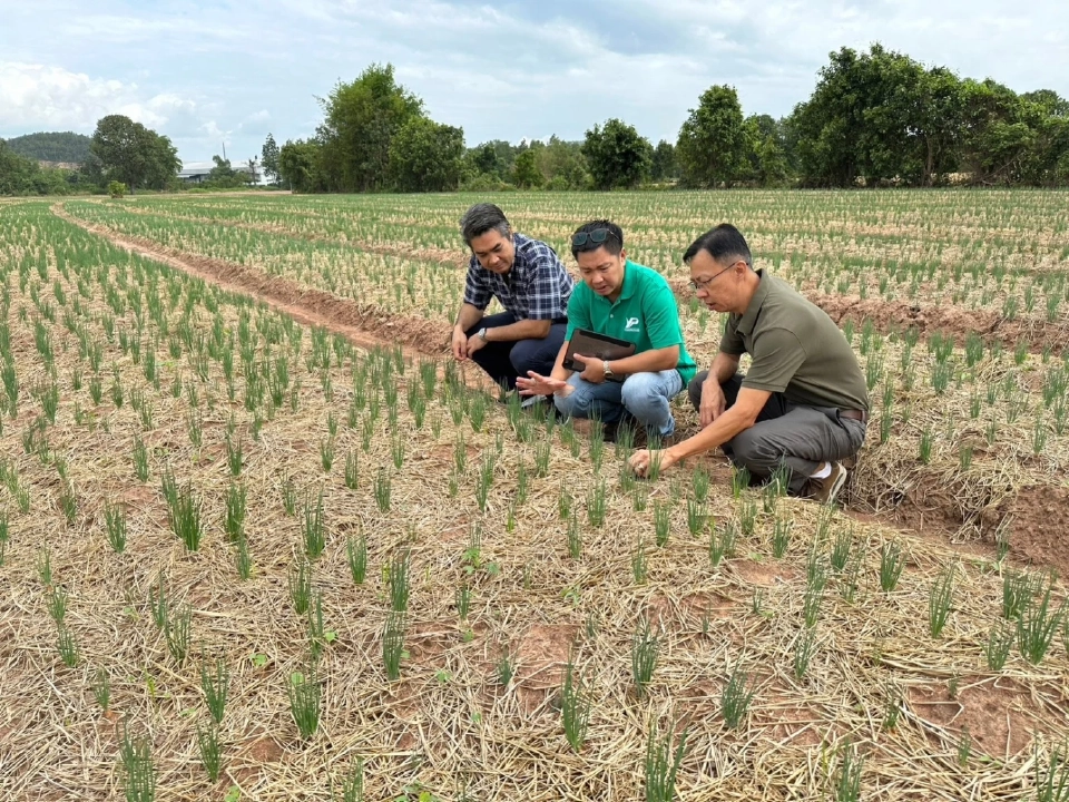 “ซีพีเอฟ”เสริมแกร่งคู่ค้า เดินหน้าต่อโครงการ SMEx ต้นทุนต่ำ