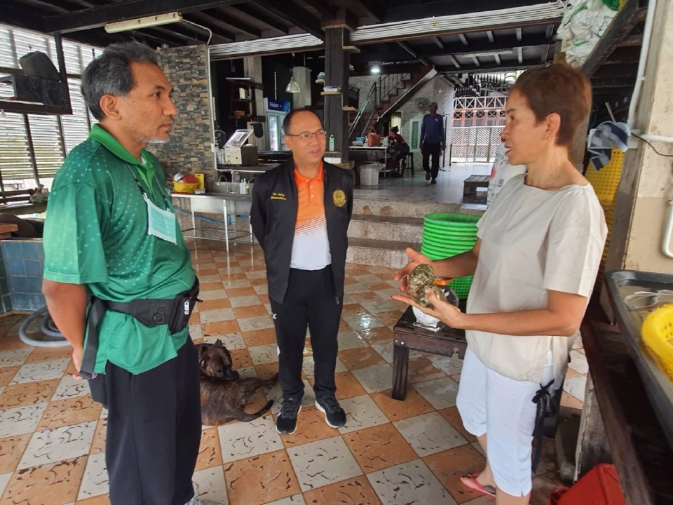 "หอยนางรม" สินค้าเกษตรมูลค่าสูงสุราษฎร์ฯ สร้างรายได้ 68 ล้าน/ปี