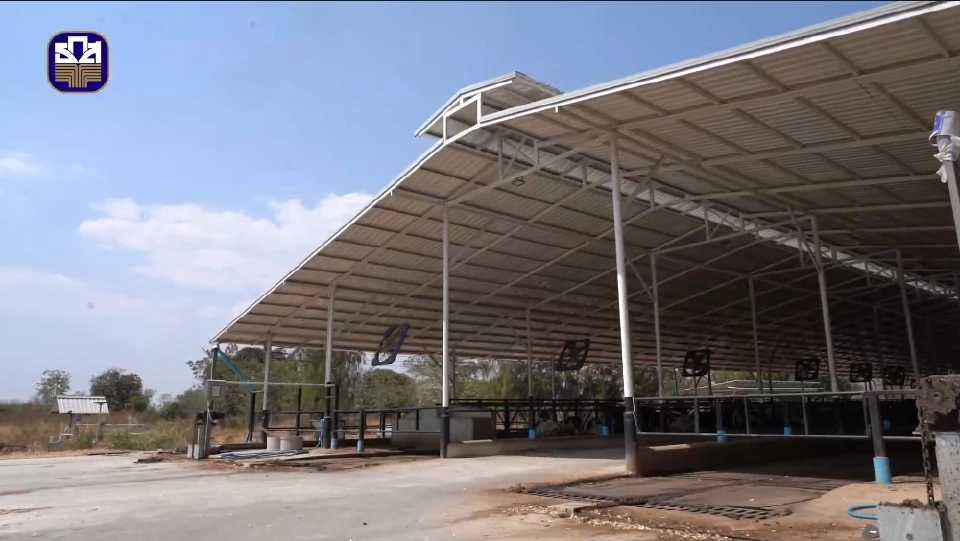 “อำพันฟาร์ม” ฟาร์มโคนมทันสมัย สร้างมาตรฐานใหม่ พลิกโฉมเกษตรไทย