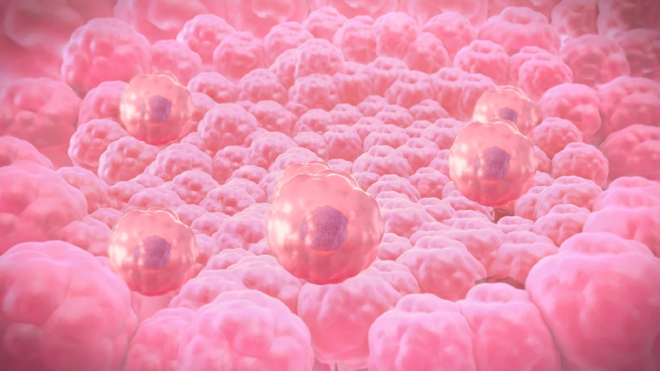 MEDEZE เดินหน้าธุรกิจสเต็มเซลล์ ตั้งเป้าปี 68 ดันรายได้ 1 พันล้าน