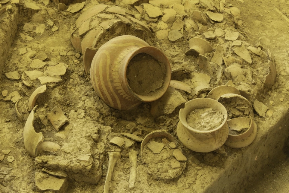 อุดรธานี เตรียมจัดงานมหกรรมพืชสวนโลก 2569 ต้อนรับนักท่องเที่ยว