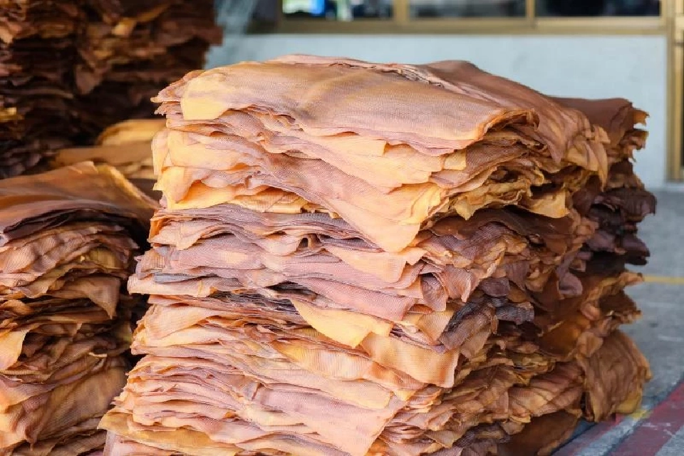 จับตา "ม็อบ เครือข่าย กยท." 70 จว. บุกศาลากลาง ประท้วงโดนพ่อค้าเอาเปรียบกดราคายาง