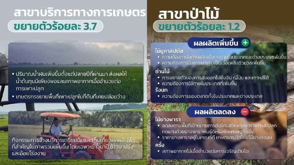 น้ำท่าดี ดัน "จีดีพีเกษตร" ไตรมาสแรก ปี 68 พุ่ง รับต้นปีสดใส