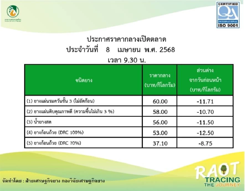 พิษภาษีทรัมป์! เอฟเฟกต์ ทุบราคายางร่วงทั้งกระดาน 10-12 บาทต่อกิโลกรัม