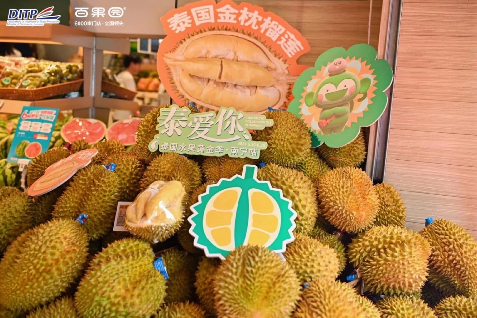 ไทย-จีน จับมือผุดแคมเปญ 4 กลยุทธ์ ดันส่งออกทุเรียนไปตลาดจีน