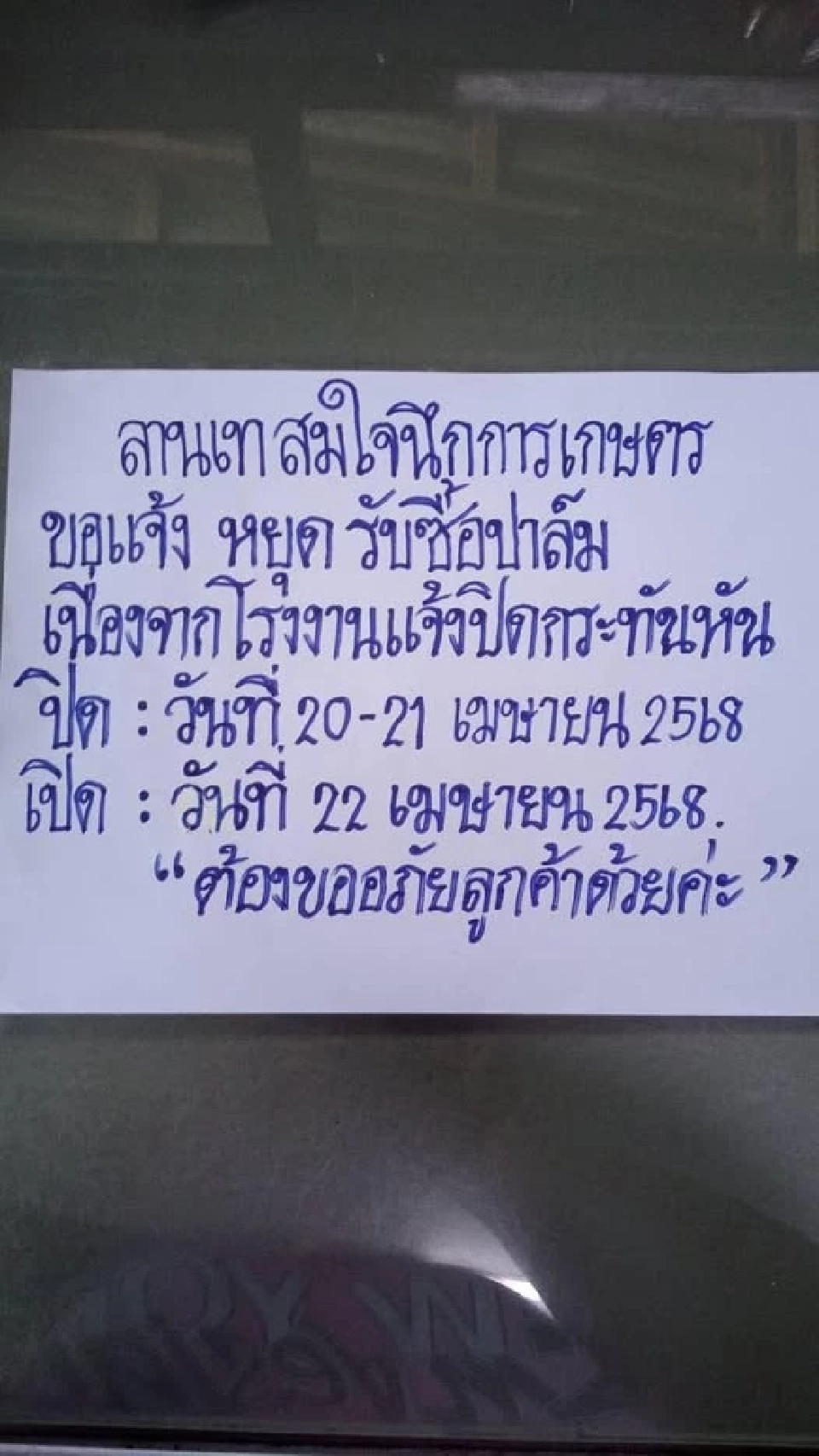 ปาล์มวิกฤต “ล้นลานเท-โรงงานสกัด" ทุบราคาร่วง 4.80 บาทต่อกิโลกรัม