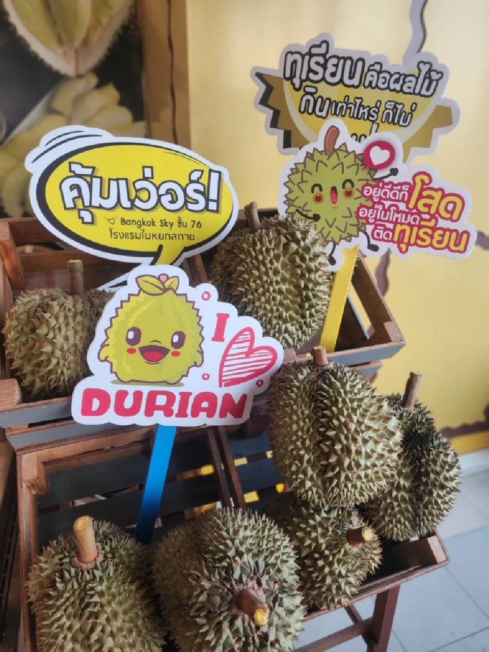 เริ่มแล้ว! บุฟเฟ่ต์ทุเรียนใบหยก 2568 ฉ่ำๆ ทุเรียน ปะทะซีฟู้ด อิ่มจุกๆราคาสุดคุ้ม