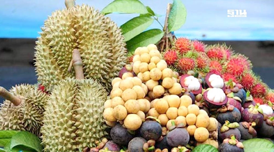 ภาพประกอบข่าว