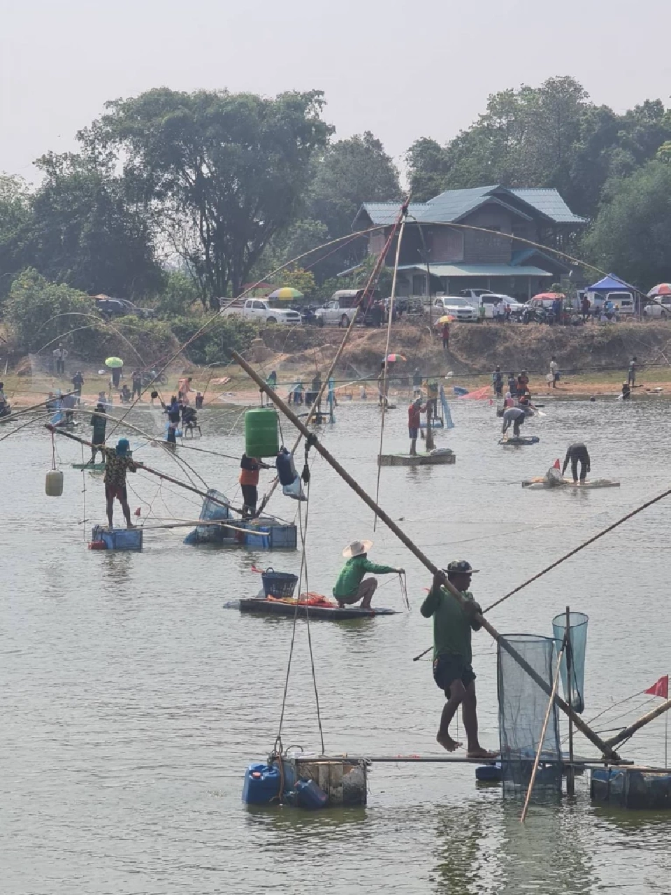 "ประเพณีลงปลา" วิถีคลายร้อนอีสาน สร้างรายได้และความสามัคคี