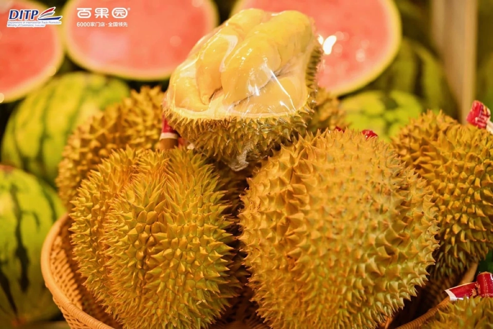 ไทย-จีน จับมือผุดแคมเปญ 4 กลยุทธ์ ดันส่งออกทุเรียนไปตลาดจีน