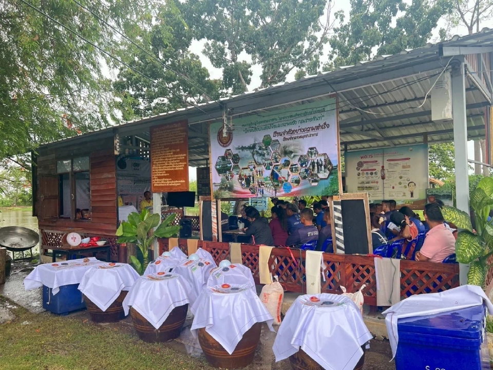 สมุทรปราการตะลุยจับ “ปลาหมอคางดำ”แปรรูปเพิ่มมูลค่าเป็นน้ำปลา