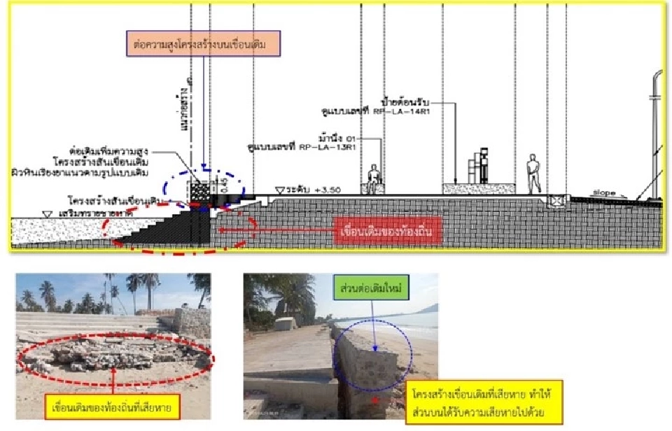 ผังโครงการ