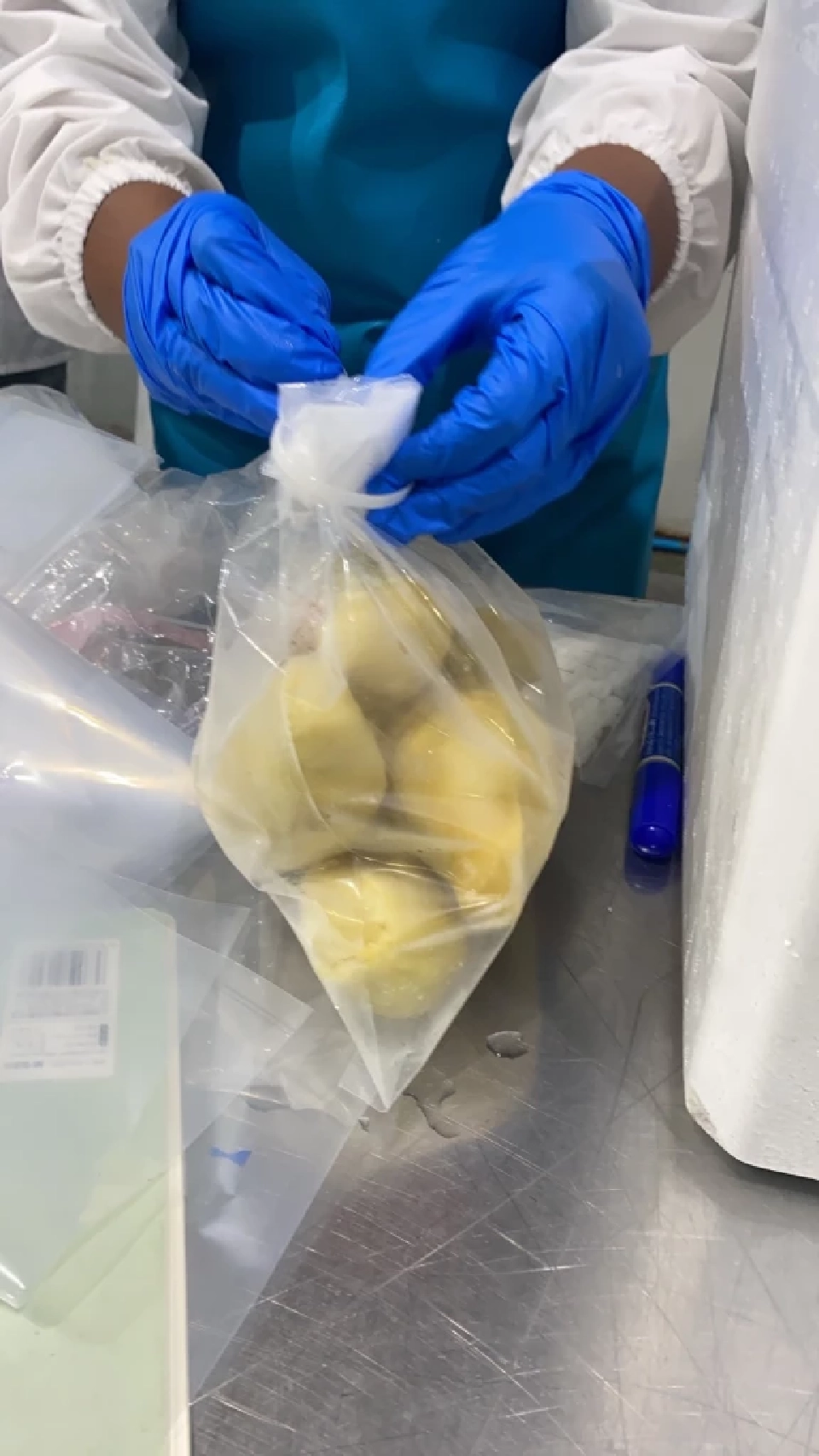 “นฤมล” สั่งการปูพรมตรวจสอบ "ทุเรียนแช่แข็ง" ทั่วประเทศ