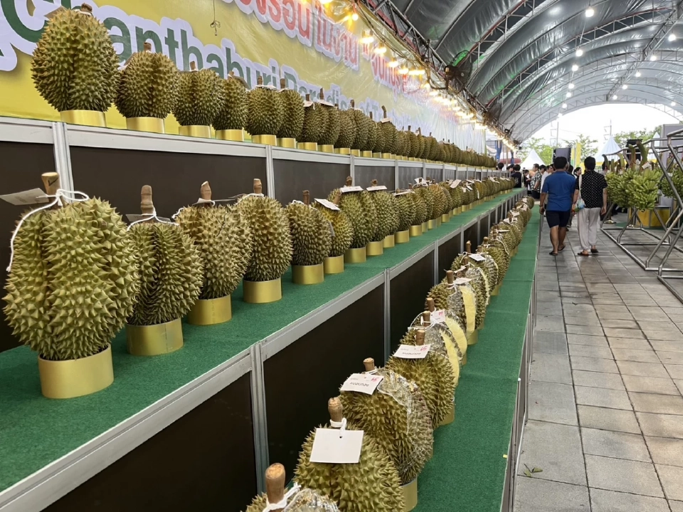 แข่งกินทุเรียน-ผลไม้ จันทบุรีจัดใหญ่ งานสรวงสวรรค์แห่งผลไม้เมืองร้อน 2568