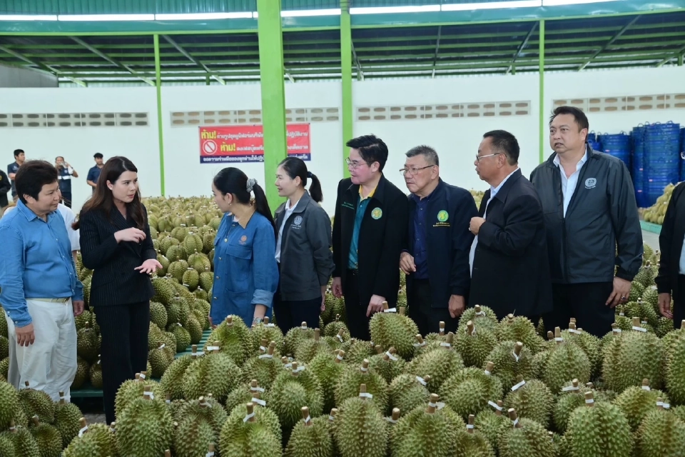 “แพทองธาร” บุกจันทบุรี รับฟังปัญหาผลไม้ ดันเพิ่มขีดแข่งขันส่งออก