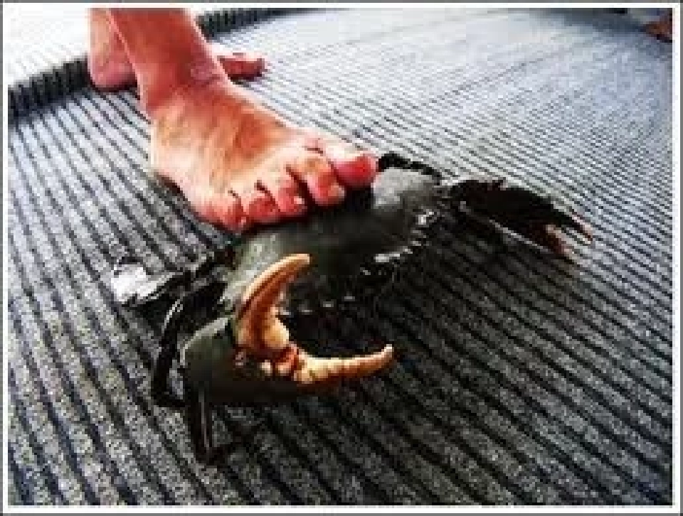 “แก้วสรร” ไขข้อกังขาความรับผิดของยิ่งลักษณ์ในคดีรับจำนำข้าว