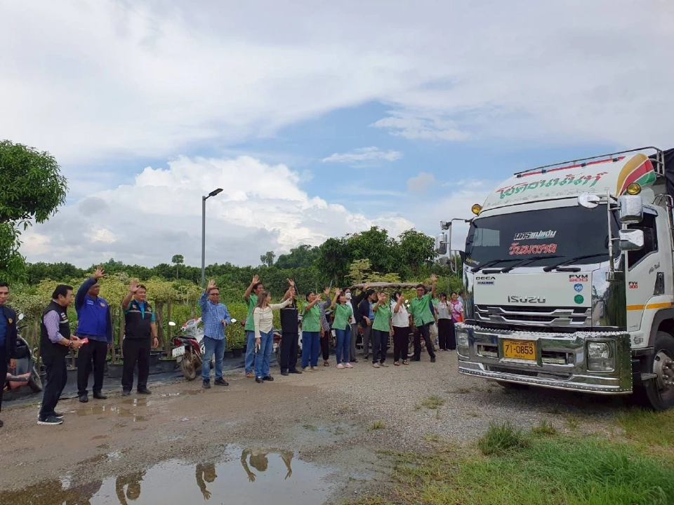 เร่งระบายมะม่วงแฟนซี เชียงใหม่–ลำพูน ดัน 100 ตันลงโมบายธงฟ้า ขายกทม.