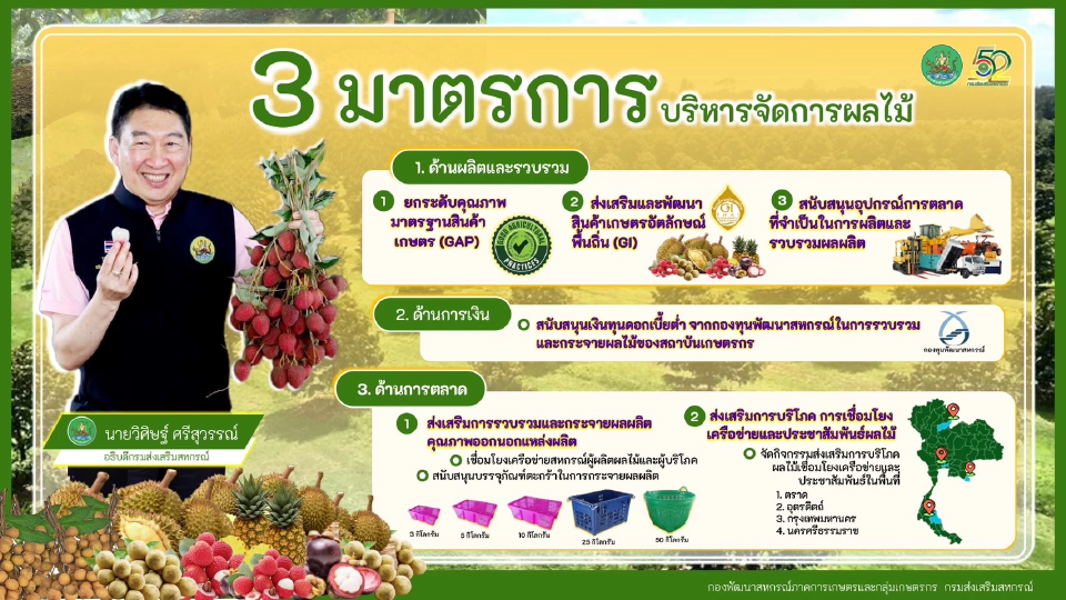 กรมส่งเสริมสหกรณ์ ลุย 3 มาตรการจัดการผลไม้ ยกระดับราคา 24 จังหวัด