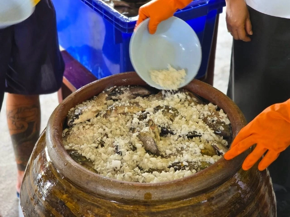 น้ำปลา “ปลาหมอคางดำ” รสชาติใหม่ หอม อร่อย เต็มไปด้วยคุณค่า