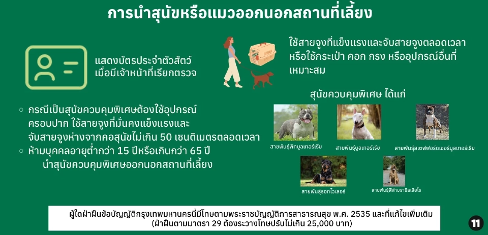 การนำหมาหรือแมวออกนอกสถานที่เลี้ยง