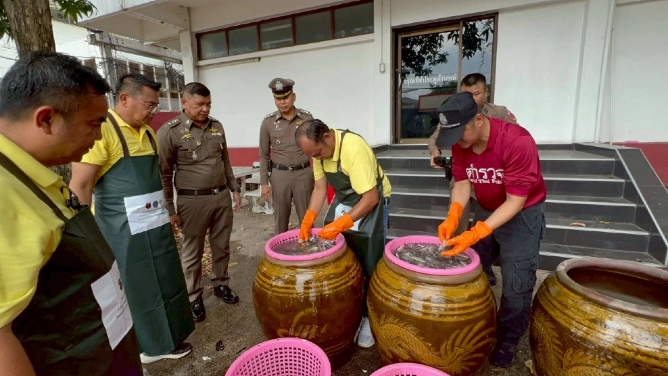 ตำรวจสมุทรสงครามนำร่องฝึกหมัก"น้ำปลาหมอคางดำ" สู่ของดีจังหวัด
