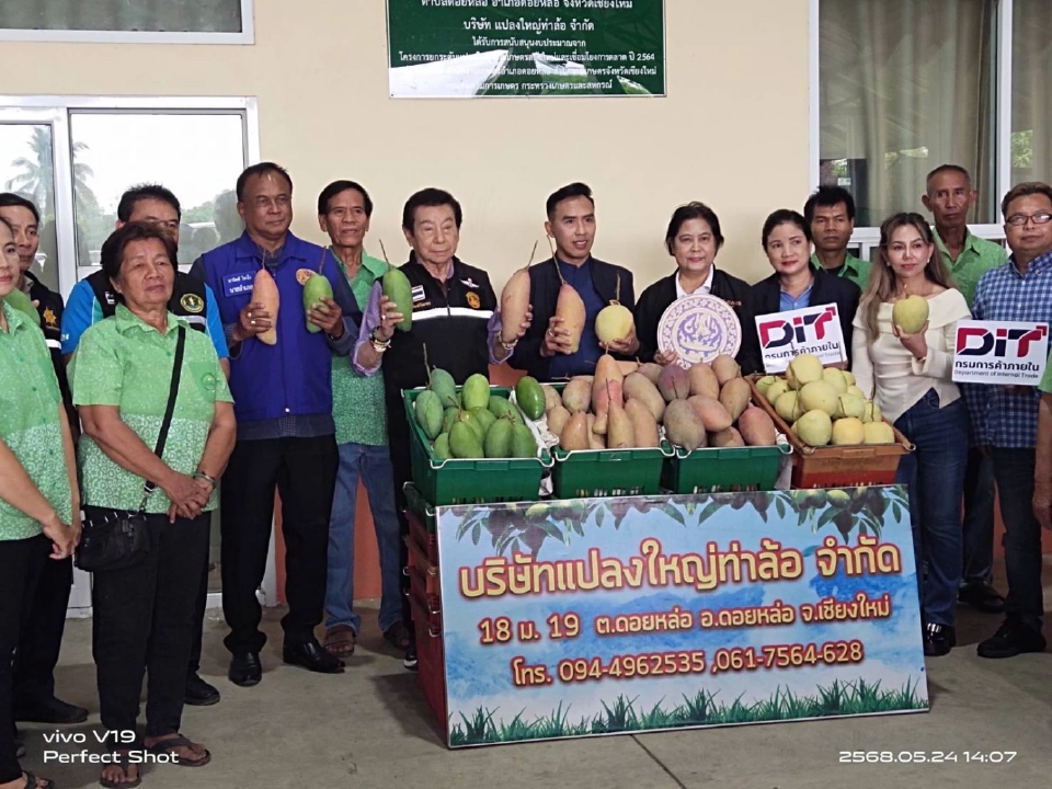 เร่งระบายมะม่วงแฟนซี เชียงใหม่–ลำพูน ดัน 100 ตันลงโมบายธงฟ้า ขายกทม.