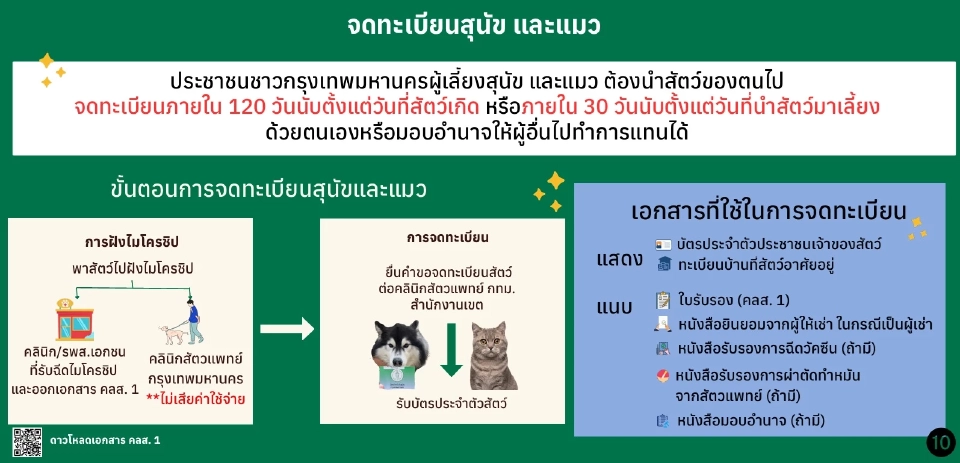 ข้อบัญญัติใหม่ กทม. พาหมา-แมว ออกนอกบ้าน ต้องพกบัตร ห้ามเด็ก-คนแก่คุม