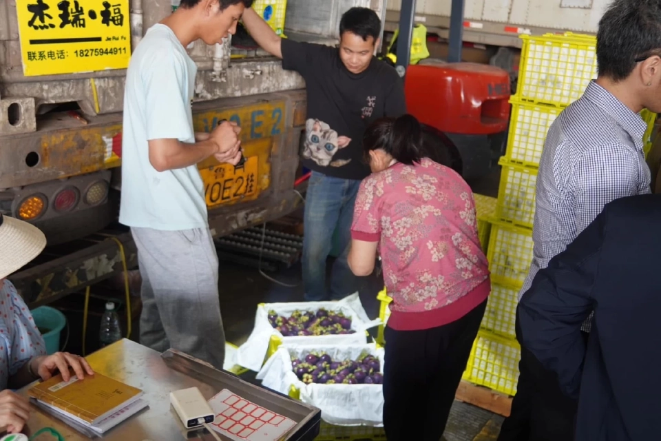 "นภินทร" นำทีมดันทุเรียนไทยลุยจีน เจรจารายใหญ่-ขยายตลาดพรีเมียม