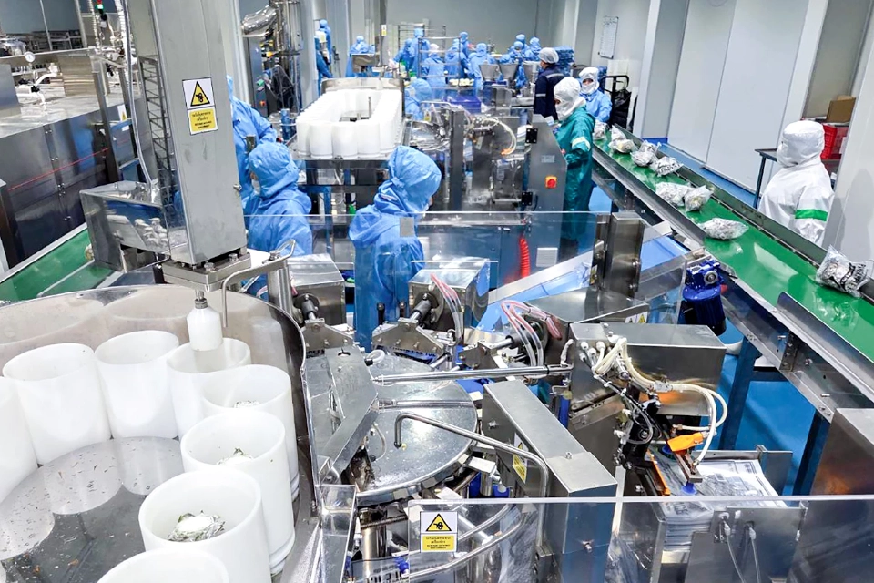 "แม็คซ์ฟู๊ด" เพิ่มกำลังการผลิต 3 เท่า ดันรายได้ไอศกรีมผลไม้ส่งออก 1,000 ล้าน